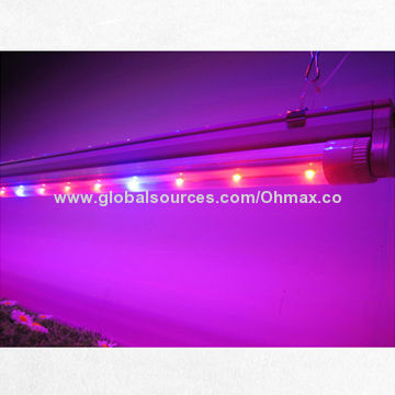 T8 Tube LED Poultry Grow Light, 18W for Egg Production for Poultry of Turkey and Chicken