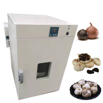 Piccola macchina per fermentazione aglio nero commerciale (capacità di 100 kg)