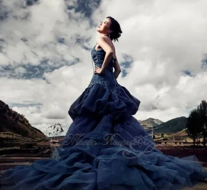 Hot Sale Party Dress Bridal Gown Wedding Gowns