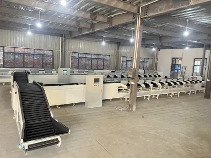 Cucumber and Citrus Dried Anchovy Weight Sort Machine Manufacturer