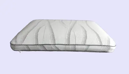 Classic Memory Foam Pillow s