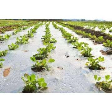 Bio-degradable Plastic Mulch Gardening Farming Film