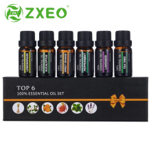 10ml Private Label Gift Set 100% Pure Essential Oil Set Lavender Tea Tree Peppermint Clove Diffuser Essential Oil