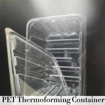 Wadah thermoforming hewan peliharaan transparan