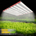 تصميم جديد LED Grow Light 800W