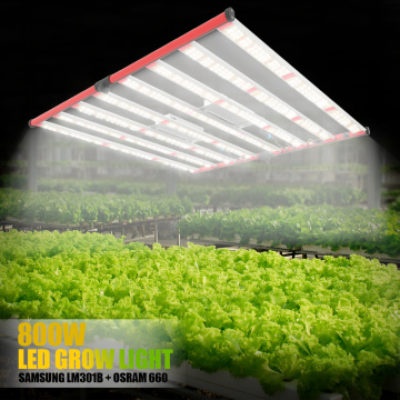 Nuevo diseño LED Grow Light 800W
