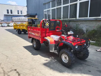 150cc/200cc/250cc ATV Tricycle and ATV Cargo Motorcycle Search