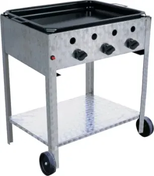 CE Certified Gas BBQ Grill