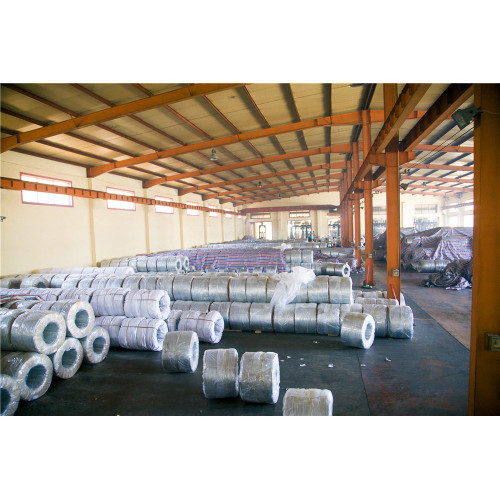 Hot Sale Hot Dipped Galvanized Wire hot dipped galvanized wire Supplier