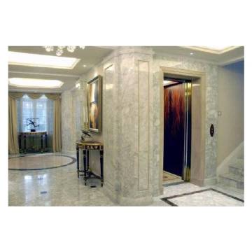 Bahagian Kediaman Mewah Membuka Golden Lif Mirror Pintu Penumpang Lift