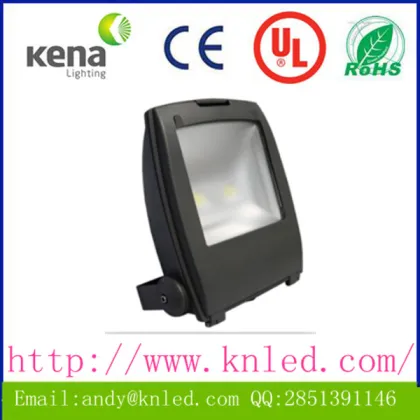 IP65 60W 80W led floodlight housing with led lights