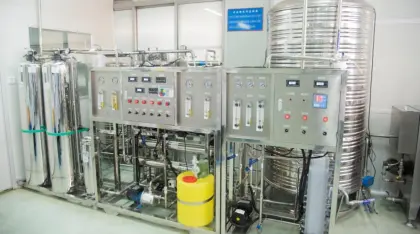 Pure Natural Wormseed Oil From Herbs Extract Oil