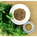 Commercial coriander seed powder for restaurants