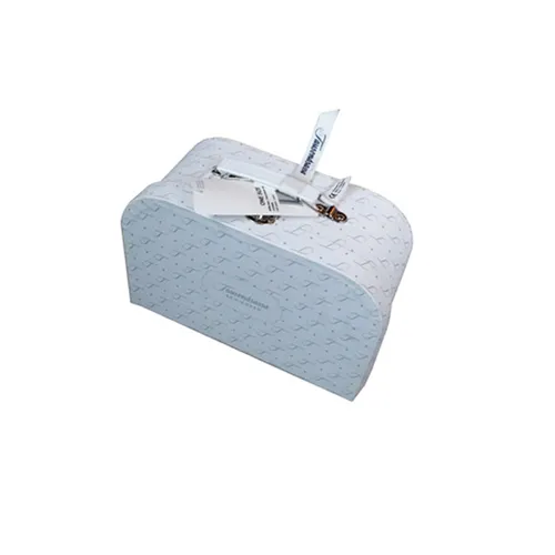 White Suitcase Shape Storage Packaging Box