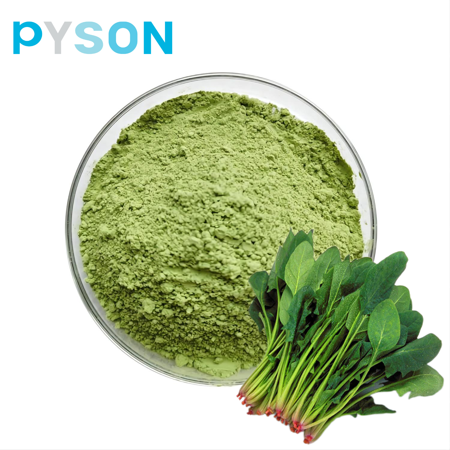 Spinach Extract powder