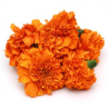 Estratto di fiori della calendula della salute degli occhi 80% in polvere di luteina