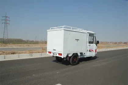 Customized 3 Wheel Electric Tricycle