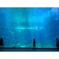 undervattens akrylglasstunnel akvarier
