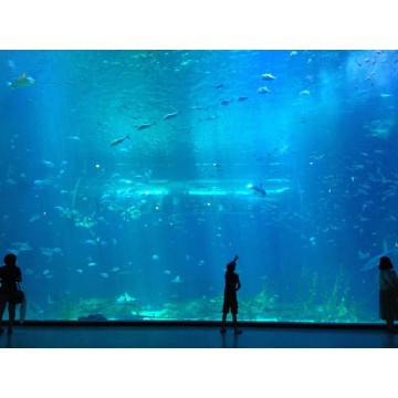 underwater acrylic glass tunnel aquariums