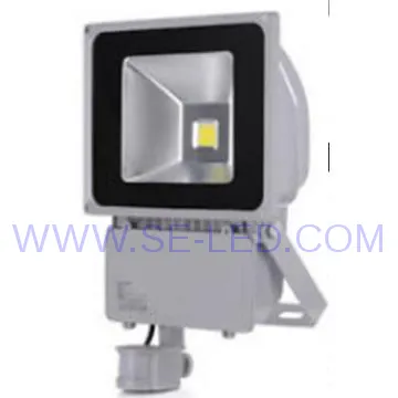 Outdoor Inductor IP65 PIR 100w LED Floodlight