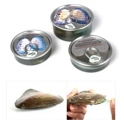 Freshwater Pearl Oyster in the can