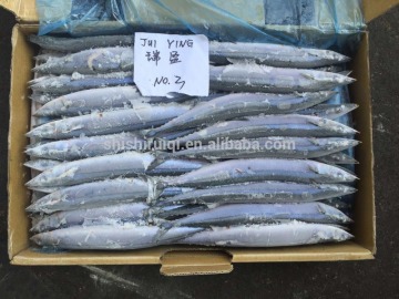 Frozen Jumbo #1 #2 #3 #4 #5 Pacific Saury