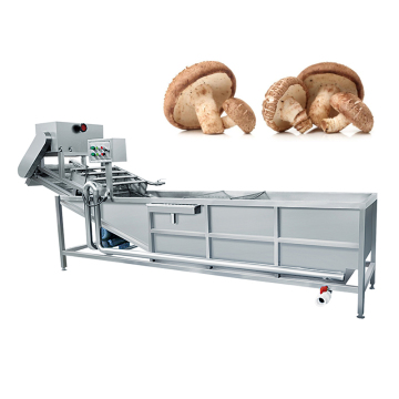 Ultrasonic Shiitake Washing Machine