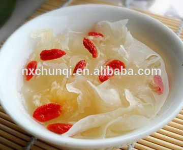 Cake Material,Sweet dessert, gojiberry Wolfberry