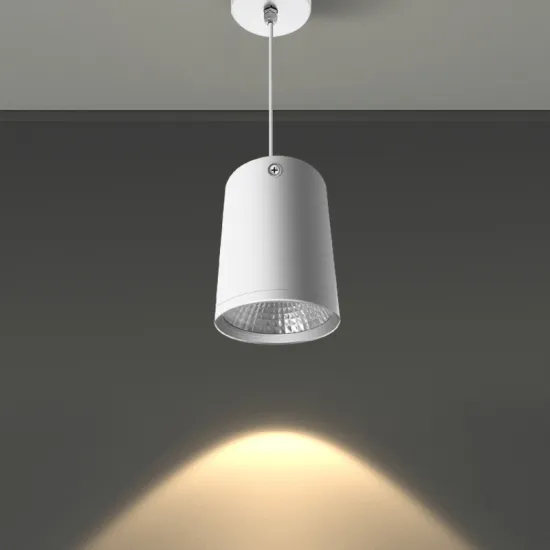 Shenzhen DANS IP65 Waterproof COB LED Lighting Pendant Spot Light
