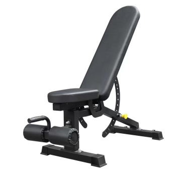 Customizable Stainless Steel Home Gym Bench for Multi-Function Exercises