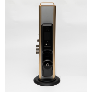 Intelligent Biometric Face Recognition Door Lock