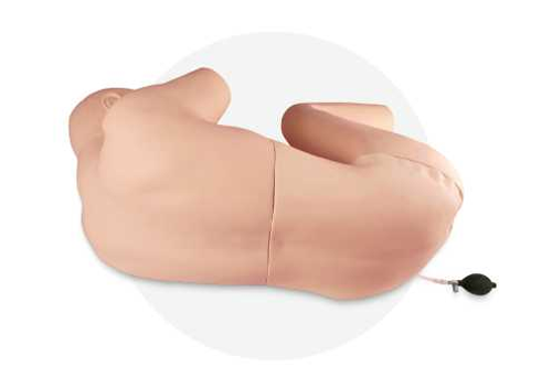 Lumbar puncture model