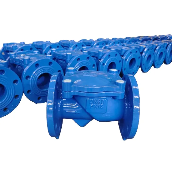 2024 Pornd Grade Ductile Iron Disc Check Valve