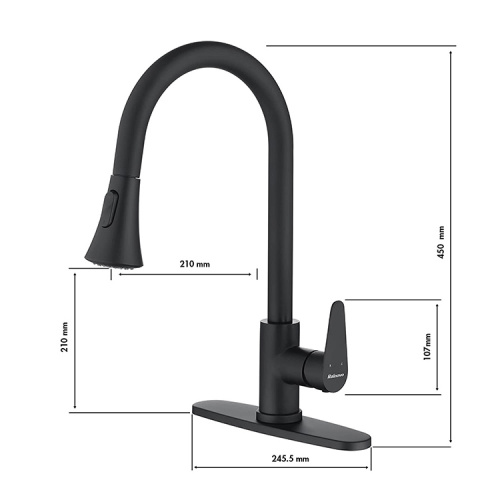 ʻO ka huiʻana i nā keleponaʻo Matte Black Litchen Tips i ka Faucet me Sprayer