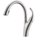 Concealed Sprayer Gooseneck Kitchen Faucet