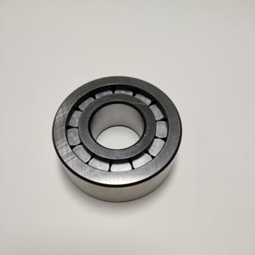 NCF Full Complement Cylindrial Roller Bearing