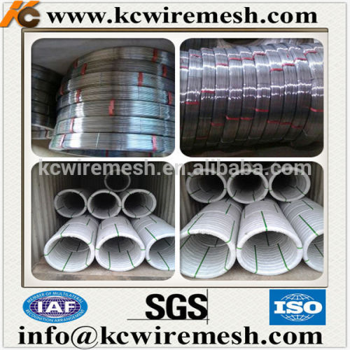 Oval Shaped Galvanized Steel Wire . .