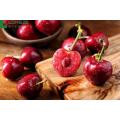 Acerola cherry extract cherry extract VC vitamin C