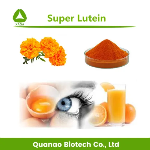 Water Soluble Lutein 5 Extract Marigold Flower Powder, High Quality
