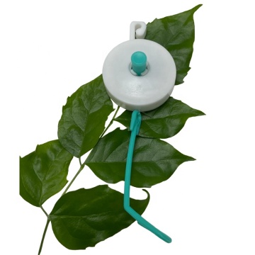 Hydroponic Indoor Grow Tent with Self-Tightening Plant YoYo: Efficient and Easy Planting Solution