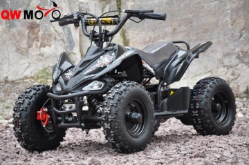 cheap Children Electric Mini 500W 800W ATV Mini Quad for sale