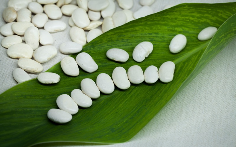 1c0c6df1-63b0-49aa-948a-cd79ff05116d.jpg_1180