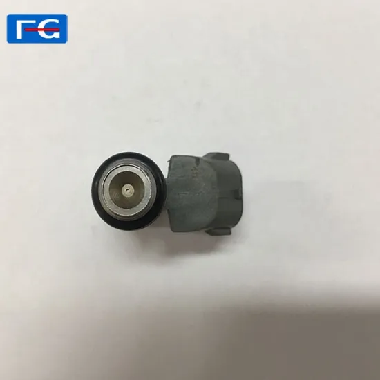 High Quality Fuel Injector Nozzle IWP126 for Cars