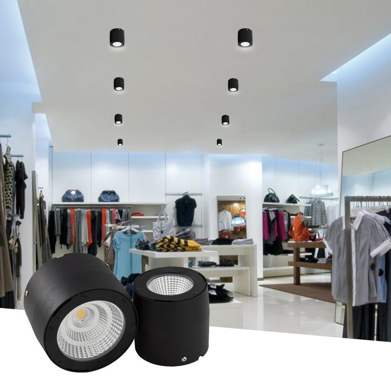 Surface Mounted Black Downlight