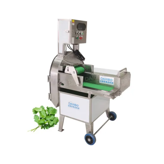 Eggplant Cucumber Pumpkin Ginger Cutter - 1000-3000KG/H Vegetable Slicing Machinery