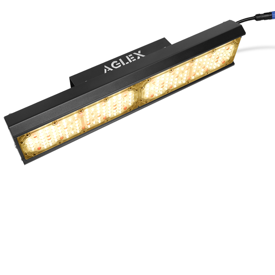 Πλήρες φάσμα 3000k 6500k led led lights