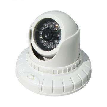 Network Big Dome Camera (FLS-IPCM-003)