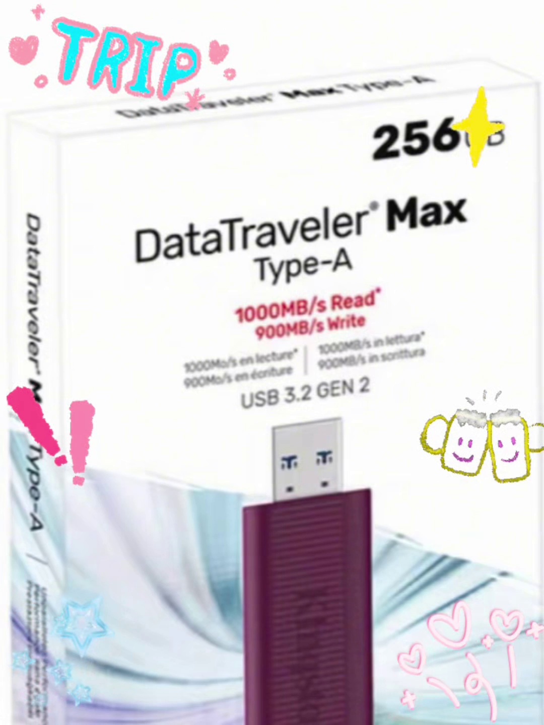 Kingston DTMAX (256GB) Product