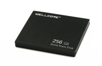 Wellcore 256gb Sata Iii Ssd , Internal Solid State Drive For Laptop
