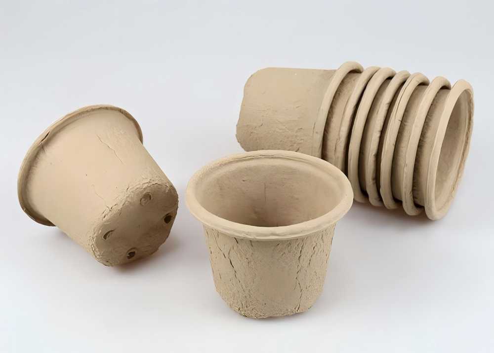 White dry-pressed disposable paper cups